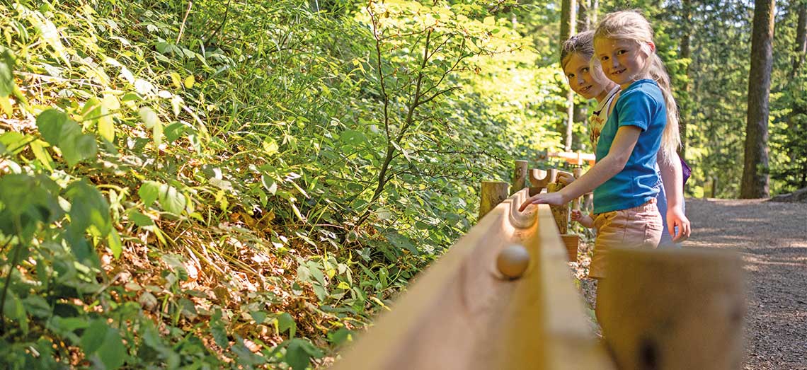 Naturspiele in der Wald Abenteuerwelt Skywalk Allgäu bei Scheidegg