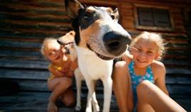 Familiencamping mit Hund am GITZ