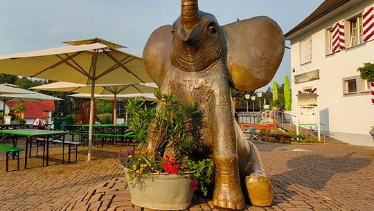 Elefantenplatz mit umliegender Gastronomie